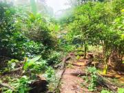 Lote 1006 M2 en 250 mill negociables en Tena Cund, COL