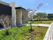 Lote 100, Fracc La Vista Residencial, Fray Junípero...