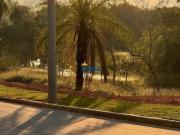 LOTE 1029m, COM FUNDOS PARA ÁREA VERDE, NO CONDOMÍNIO... LOTE 1029m, COM FUNDOS PARA ÁREA VERDE, NO CONDOMÍNIO...