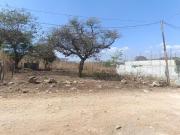 Lote 10x20 en el Jobo, buena ubicación