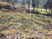 Lote 1183 m², plano,sem árvores,vista linda p/serra,9km...