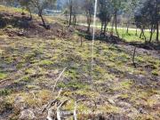 Lote 1183 m², plano, sem árvores, vista p/serra,...