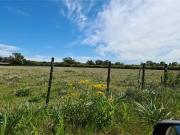 LOTE 13 DE 5.000 M2 EN EL BARRIO EL CANDIL