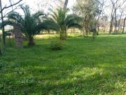 Lote 1 Hectárea Calle 498 y 224, Abasto, La Plata Lote 1 Hectárea Calle 498 y 224, Abasto, La Plata