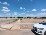 Lote 200m2 natania 44