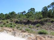 Lote 25 com viabilidade de construção e terreno com arvores Lote 25 com viabilidade de construção e terreno com arvores