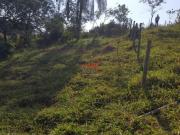 Lote 356 m2 Venda Juatuba