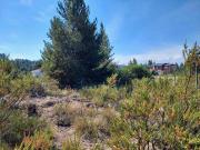 Lote 377m en acceso principal apto comercial