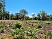 Lote 433 m2 en Venta Barrio El Remanso Del Viso