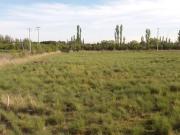Lote 500 m2 Bº Aires de Francia General Fernandez Oro