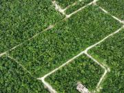 Lote 528 Tulum