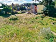 LOTE 55 SAUCE GRANDE I MONTE HERMOSO