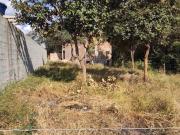 Lote