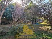 Lote 800m2 com iptu 100% plano murado com portão...
