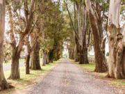 Lote a la laguna El Campo Fincas Exclusivas Cardales Etapa 2