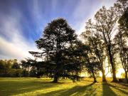 Lote a la venta en Chacras San Andrés, San Andrés de Giles