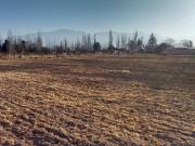 LOTE A LA VENTA EN LA CONSULTA VALLE DE UCO