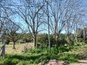 Lote a la venta en Villa Elisa