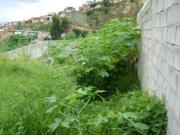 Lote à venda, Buritis Belo Horizonte/MG