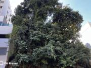 Lote à venda em Belo Horizonte, Buritis, 450m²