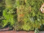 Lote à venda, Europa Contagem/MG