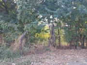 LOTE Á VENDA NO BAIRRO SÃO FRANCISCO SETE LAGOAS MG