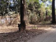 Lote à venda no Condomínio Recanto da Serra em...