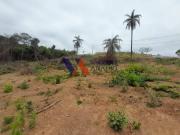 Lote à venda no Condomínio Valle da Serra, em Betim/MG