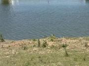 Lote al agua en venta en Barrio San Sebastian área 10, Pilar