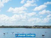 Lote al agua en venta Nuevo lanzamiento| Barrio Orillas...