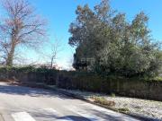 Lote, Albergaria A Velha e Valmaior, Albergaria a Velha...