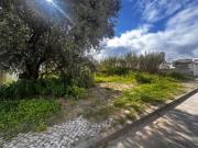 Lote, Aldeia de Irmãos, Azeitão, Setúbal