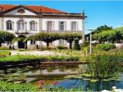 Lote, Alquerubim, Albergaria a Velha | BPI Expresso...