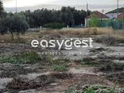 Lote, Alverca Do Ribatejo e Sobralinho, Vila Franca de...