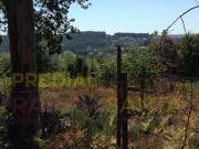 Lote, Antuzede e Vil de Matos, Coimbra | BPI Expresso...