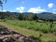 LOTE AO LADO DA RESERVA FLORESTAL