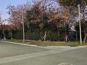 LOTE APTO DESARROLLO, VALENTINA NORTE. NQN