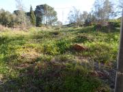 Lote, Assafarge e Antanhol, Coimbra | BPI Expresso...