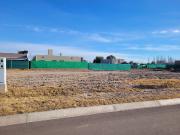 Lote b cepas del carmen