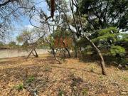 LOTE | BANDEIRANTES | BELO HORIZONTE