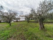 Lote, Barco e Coutada, Covilhã | BPI Expresso Imobiliário