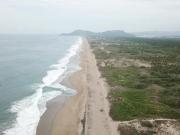 LOTE BARRA COLIMILLA