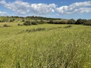 Lote, Bensafrim e Barão de São João, Lagos | BPI...