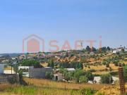 Lote, Brogueira, Parceiros de Igreja e Alcorochel,...