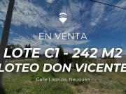 Lote C1 En Venta Loteo Don Vicente En Neuquén