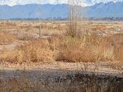 Lote calle san martin perdriel lujan de cuyo mendoza