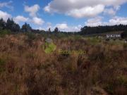 Lote, Campelos e Outeiro Da Cabeça, Torres Vedras | BPI...