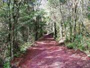LOTE CAMPESTRE