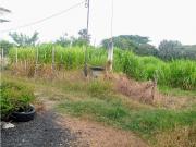 LOTE CAMPESTRE EN VENTA VA PALMIRA CERRITO CERCA A LA...