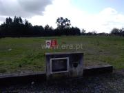 Lote, Cantanhede e Pocariça, Cantanhede | BPI Expresso...